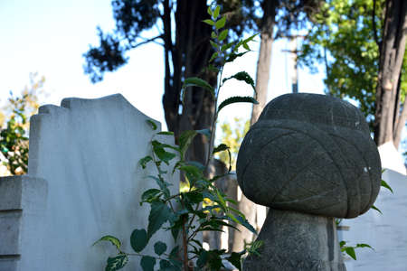 birth and death