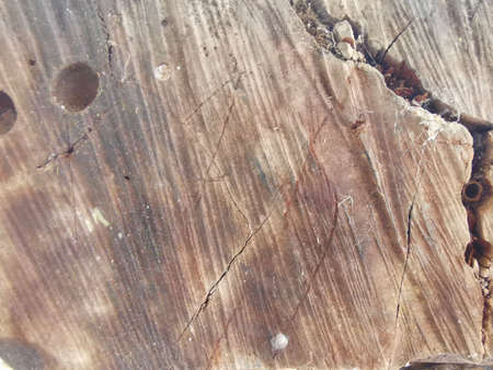 wooden background texture surface