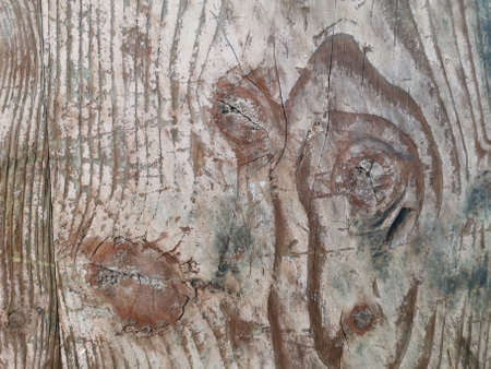 natural texture on woodの写真素材