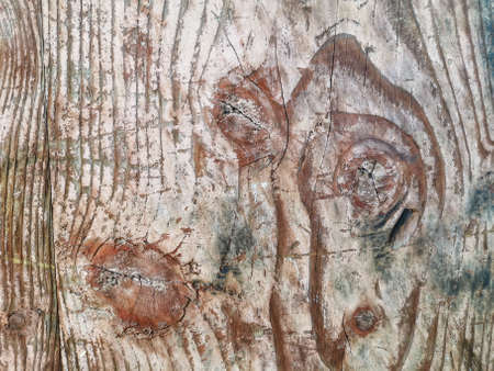 Wooden texture abstract backgroundの写真素材