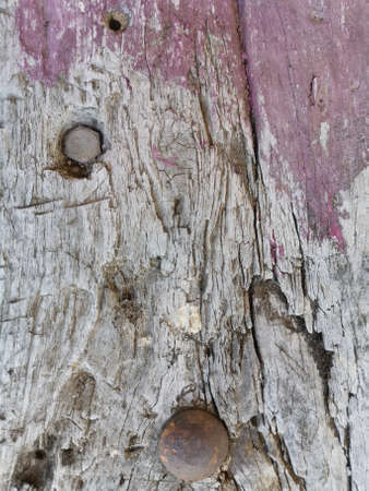 Wooden abstract background textureの写真素材