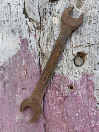 Old screw tool on woodの写真素材