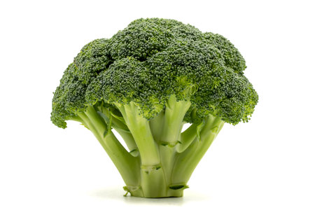 Broccoli isolated on a white background.の写真素材
