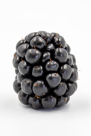 Black mulberry isolated on white background. Fresh and juicy black mulberry. organic food. close up