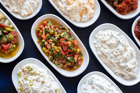 Traditional Turkish and Greek food appetizer table. Grilled eggplant salad (saksuka), Anamur salad, Baba Ghanoush (Mutabbal), pasha appetizer, spicy paste or harissa, purslane salad. Top viewの写真素材