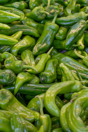 Fresh green peppers in the market. green peppers in bulk. ripe green peppers in a street marketの写真素材