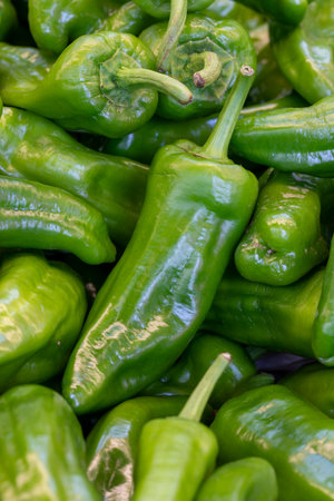 Fresh green peppers in the market. green peppers in bulk. ripe green peppers in a street market