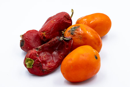 Rotten red peppers and tomatoes on a white background. food waste conceptの写真素材