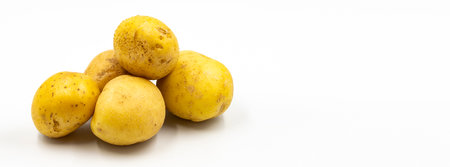 Fresh potatoes on white background with shadow. copy spaceの写真素材