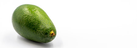 Avocado on a white background. Combined with the shade of ripe avocado. Empty space for text. copy...