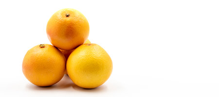 Grapefruit on a white background. Along with the ripe Grapefruit shade. Empty space for text. copy spaceの写真素材