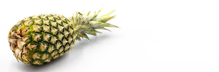 Pineapple on a white background. In combination with a shade of ripe pineapple. Empty space for textの写真素材