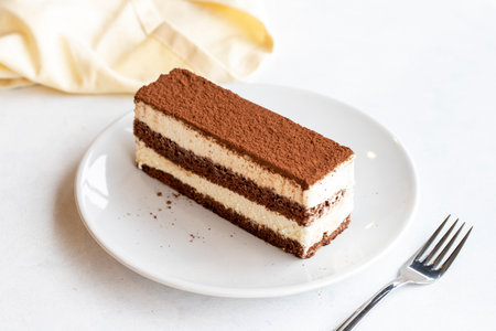 Tiramisu dessert on a white background. Italian sweet dessert concept. Plate of tiramisu cake. close up. selective focus. Horizontal view.の写真素材