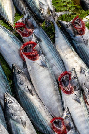fresh fish ready for sale at the fisherman's counter
