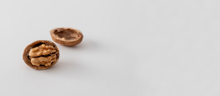 walnuts on a white backgroundの写真素材