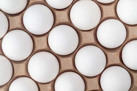 eggs in carton on white background