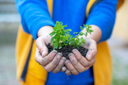 Little boy hands holding plant in palm. selective focus. better future concept