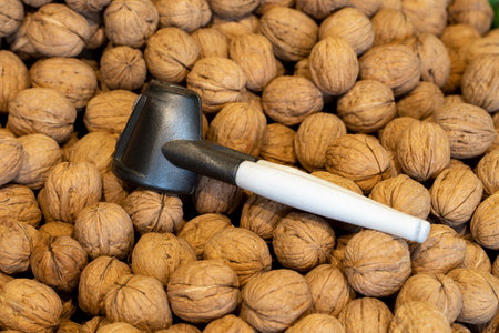 shelled walnuts Pile of unshelled walnuts in daylight. Walnut background.の写真素材