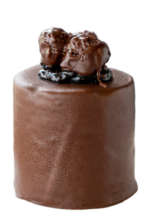 Chocolate cake isolated on white background. Fruit and cream cake covered with chocolate on the outside. close upの写真素材