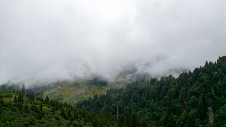 Fog settling between two mountains. Green natural forest at the foot of the mountains. Aerial viewの写真素材