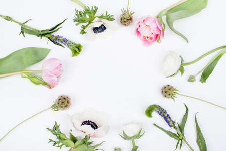 Pink tulips, white anemonse, pink cloves and white buttercups lying on white background from the top in the circle, prepered to do bouquetの写真素材