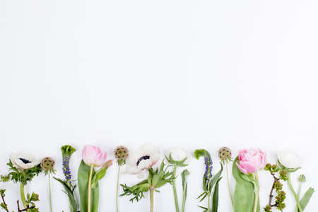 Pink tulips, white anemones, pink cloves and white buttercups lying on white background in a rowの写真素材