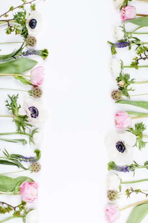 Pink tulips, white anemones, pink cloves and white buttercups lying on white background in two rows, left side and right sideの写真素材