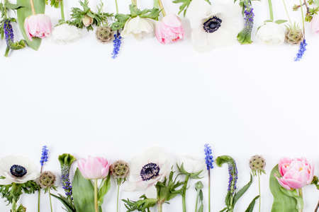 Pink tulips, white anemones, pink cloves and white buttercups lying on white background in two rows, on top and on the bottomの写真素材