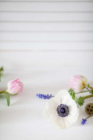 White anemone, two pink tulips and grape hyacinths lying on the white floor with shutters in backgroundの写真素材