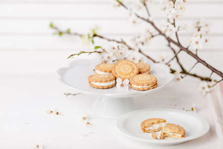 Cookies with cream on white plates with branch of blossom plum tree with white shutter in background and small flowersの写真素材