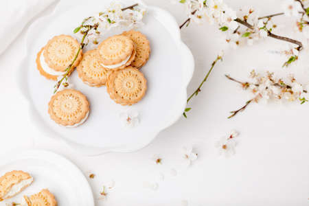 Cookies with cream on white plates with branch of blossom plum tree on white background from the topの写真素材