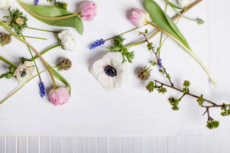 White anemones, pink tulips and grape hyacinths lying on the white wood and shutterの写真素材