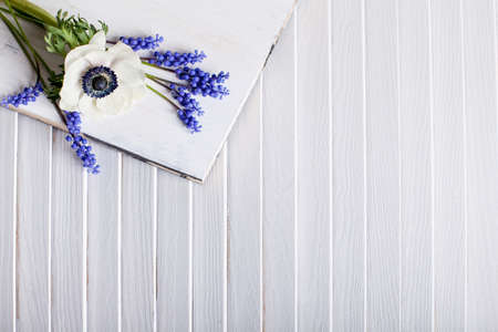 White anemone and grape hyacinths lying on the white wood with shutters in backgroundの写真素材