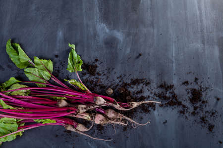 Beet leaves and beetroot on black board with soil