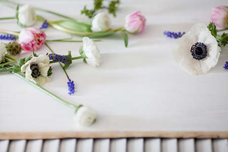 White anemones, pink tulips, white buttercups and grape hyacinths lying on the white wood and...