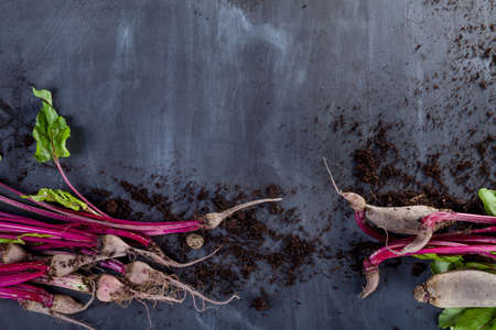 Beet leaves and beetroot on black board with soil top viewの写真素材
