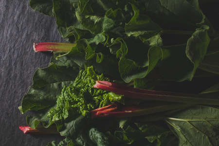 Organic pieplant lying on dark stoneの写真素材