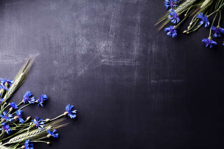 Blue cornflowers and rye on the corners of old blackboardの写真素材