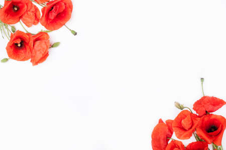 Heads of poppies in two corners of white background, flat lay