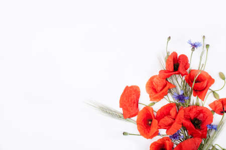 Heads of red poppies, rye and cornflowers in the corner of white background flat layの写真素材