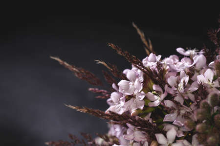 Beautiful spring bouquet on black background, close upの写真素材