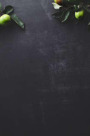 Apple branches on the top of blackboard, flat layの写真素材