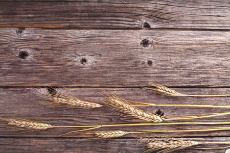 Ears of rye on the rustic wooden backgroundの写真素材