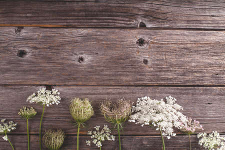 Summer flowers on rustic,wooden backgroundの写真素材