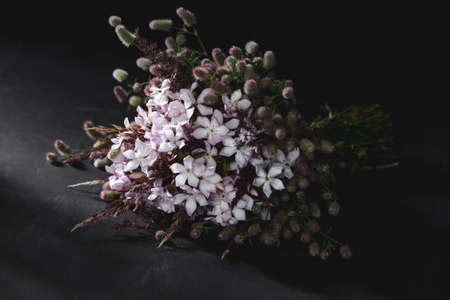 Bouquet from pink wild flowers on black backgroundの写真素材