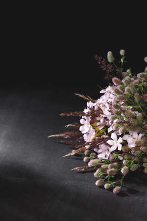 Bouquet from pink wild flowers on black background, verticalの写真素材