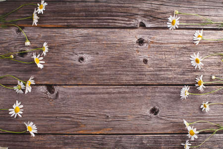 White camomile flowers on wooden backgroundの写真素材
