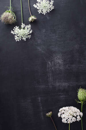 Summer flowers in a row on blackboard, verticalの写真素材