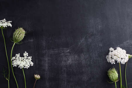 Beautiful field flowers on blackboard, top viewの写真素材