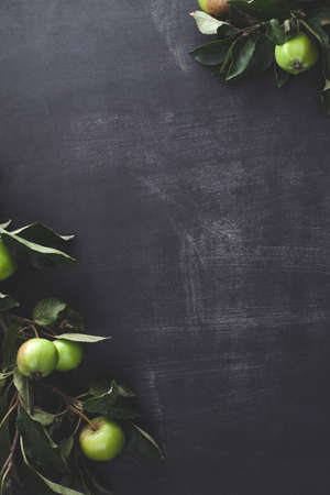 Green apples on blackboard background, verticalの写真素材